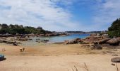 Tour Wandern Perros-Guirec - la côte de granit rose à Ploumanach - Photo 8