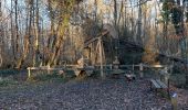 Trail Walking Fontainebleau - Épine foreuse  - Photo 1