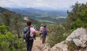 Trail Walking Brignoles - Le Candelon - Photo 1
