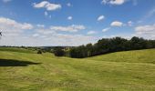 Tocht Stappen La Roche-en-Ardenne - rando warempage 13/07/2020 - Photo 12