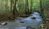 Excursión Senderismo Herbeumont - Haut-Chenois - Sentiers  et vallée de l'Antrogne - Photo 2