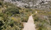 Trail Walking Marseille - Callelongue-Marseilleveyre - Photo 6