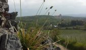 Trail On foot Brunn am Gebirge - SPORTaktiv Runde - Photo 5