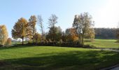 Excursión A pie Abtsteinach - Rundwanderweg Abtsteinach 10: Leonhardsberg-Weg - Photo 1