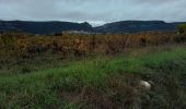 Tour Wandern Corconne - Corconne vignes garrigue oliveraies  - Photo 1