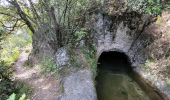 Tocht Stappen Saint-Cézaire-sur-Siagne - Le canal et la rivière de la Siagne  - Photo 10