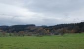 Tour Wandern La Roche-en-Ardenne - rando samrée 13/11/2020 - Photo 13