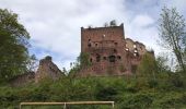 Trail On foot Saint-Nabor - Circuit autour du Mont Ste Odile - Photo 2