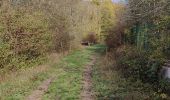 Trail Walking Jablines - jablines secret - Photo 2