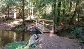 Tocht Stappen Remiremont - Remiremont - baraque des gardes - étang du Villerain - cascade du Géhart - étangs et prieuré d'Hérival  - Photo 10