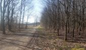 Trail Walking Esneux - parc du Mary.  rond bâti . anc carrière.  arboretum . parc du mary  - Photo 7
