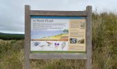 Tocht Stappen Condette - Dunes d’Ecault depuis le château d’Hardelot - Photo 2