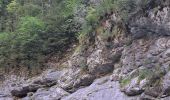 Tour Wandern Fanlo - Pyrénées 2023 Jour 9 - Canyon d'Anisclo - Photo 13