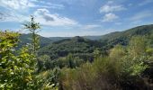 Tour Wandern Bouillon - Lés échelles de Rochehaut - Photo 14