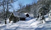 Percorso A piedi Lačnov - NS Varakovy paseky - Photo 2