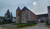 Tour Wandern Doische - Balade de Doische à Foisches - Photo 2