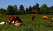 Percorso A piedi Unknown - Roden Skov, rød rute - Photo 2