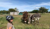 Percorso Bici ibrida Mons - Jardin suspendu - Photo 3