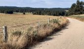 Trail Walking Peyre en Aubrac - GR65 j2 - Photo 4