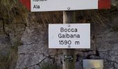Trail On foot Bosco Chiesanuova - IT-110 - Photo 2