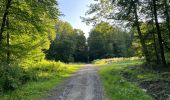 Trail Walking Oigny-en-Valois - en forêt de Retz_86_les Laies de la Poudrerie et de la Fosse aux Demoiselles - Photo 6