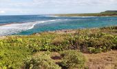 Randonnée Marche Le Moule - Anse Petite Savane - Anse à l'Eau 2 - Photo 2