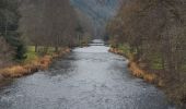 Tour Wandern La Roche-en-Ardenne - rando warempage 10/12/2020 - Photo 3