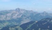 Tocht Stappen Abondance - LAC ET ROC DE TAVANEUSE - Photo 10