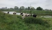 Tocht Stappen Veere - Veere 14 km - Photo 7