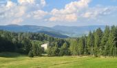 Trail Walking Orbey - Autour du Linge - Photo 17