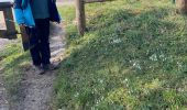 Percorso Marcia Guiry-en-Vexin - Le bois de Berval - Photo 1