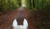 Trail Horseback riding Buriville - buriville pour debaliser avec élodie tiboy vispa tivio - Photo 3