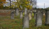 Tour Zu Fuß Wriezen - Grüner Strich - Photo 2