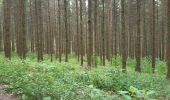 Tour Wandern Stablo - rando de la truite : stavelot . challes . warche . chevaufosse . challes . stavelot - Photo 14