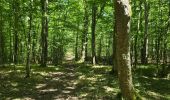 Excursión Senderismo La Chapelle-Enchérie - La Chapelle-Enchérie - Bois de Bricsard - Photo 15