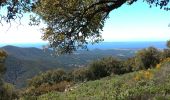 Randonnée Marche La Londe-les-Maures - valcros babaou - Photo 3