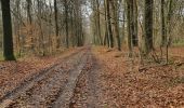 Excursión Senderismo Belœil - ADEPS - Granglise (Amis de la nature) - Photo 2