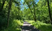 Tocht Stappen Herbeumont - Herbeumont 26,4 km - Photo 20