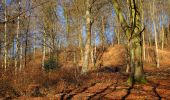 Trail Walking Vieux-Moulin - en forêt de Compiègne_25_les Tournantes du Mont Saint-Pierre - Photo 20