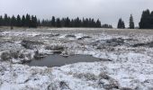 Percorso A piedi Horní Blatná - NS Blatenský příkop - Photo 10