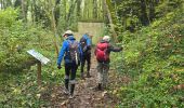 Randonnée Marche Pithiviers - Pithiviers- Malesherbes 35 km linéaire - Photo 5