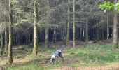 Trail Walking Neufchâteau - Tronquoy - Respelt - Photo 4