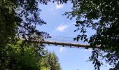 Excursión Senderismo Mörsdorf - Promenade vers le pont de Geierlay   - Photo 6