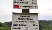 Randonnée Marche Bouillon - Promenade du Moulin du Rivage. (3,5km) - Photo 10