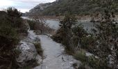 Tocht Stappen Saint-Martin-d'Ardèche - 07 st martin d ardeche gorge ardeche - Photo 4