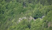 Tour Zu Fuß Ilsenburg - Zielwanderweg Eckertal - Photo 3