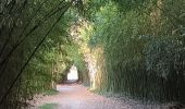 Percorso Marcia Saint-Cyprien - jardin des plantes de Saint cyprien  - Photo 5