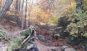 Trail Walking Aywaille - ninglinspo rando 21 - Photo 8