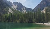 Trail Walking Prags - Braies - lac de braies 1112m 20kms  - Photo 12