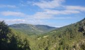 Trail Walking Seyne - rando tour de tourtourel 8-07'2022 - Photo 10